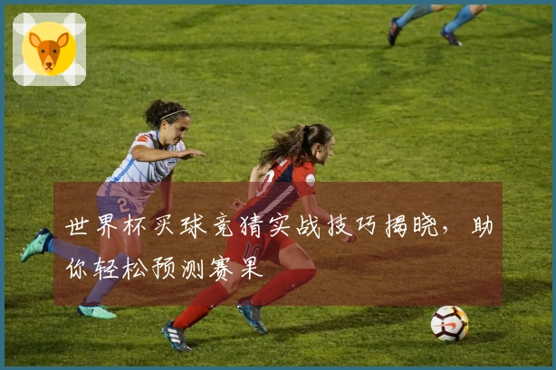 世界杯买球竞猜实战技巧揭晓，助你轻松预测赛果