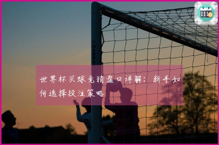 世界杯买球竞猜盘口详解：新手如何选择投注策略