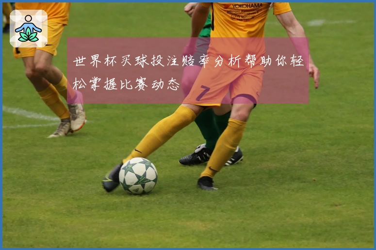 世界杯买球投注赔率分析帮助你轻松掌握比赛动态