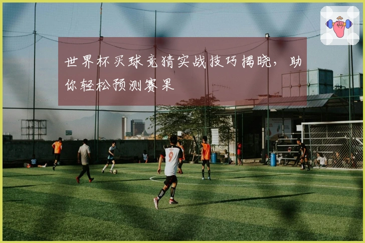 世界杯买球竞猜实战技巧揭晓，助你轻松预测赛果