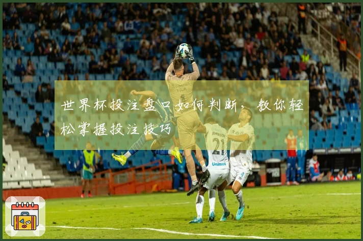 世界杯投注盘口如何判断，教你轻松掌握投注技巧