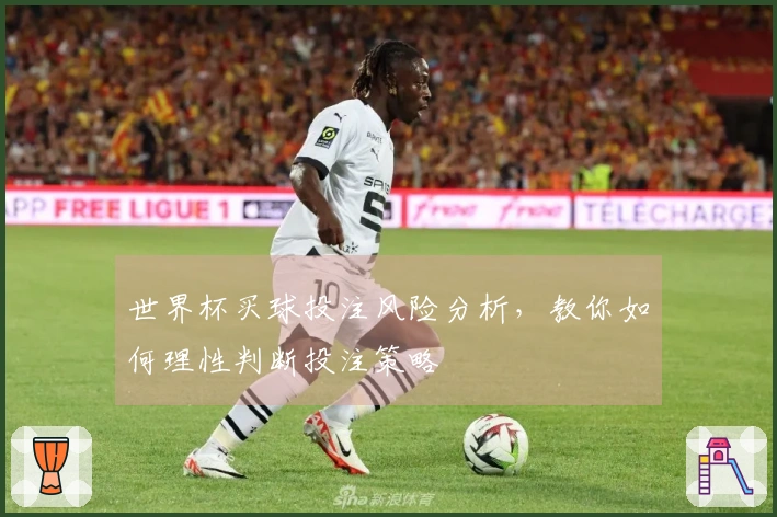 世界杯买球投注风险分析，教你如何理性判断投注策略