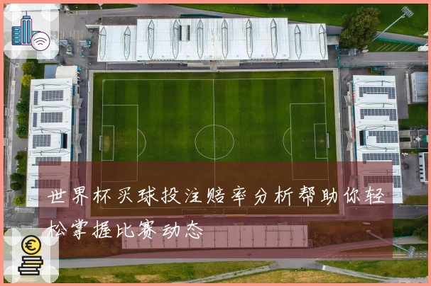 世界杯买球投注赔率分析帮助你轻松掌握比赛动态