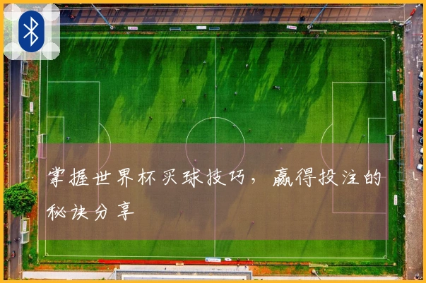 掌握世界杯买球技巧，赢得投注的秘诀分享
