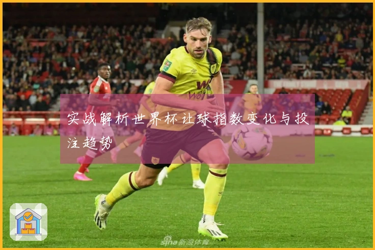 实战解析世界杯让球指数变化与投注趋势