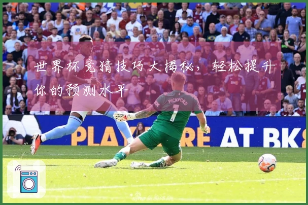 世界杯竞猜技巧大揭秘，轻松提升你的预测水平