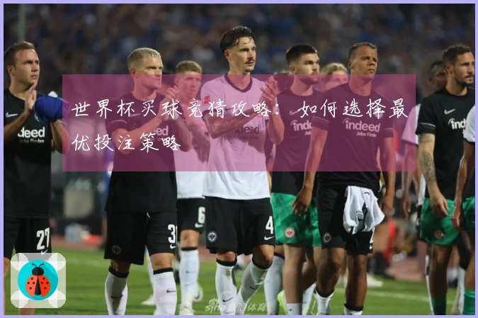 世界杯买球竞猜攻略：如何选择最优投注策略