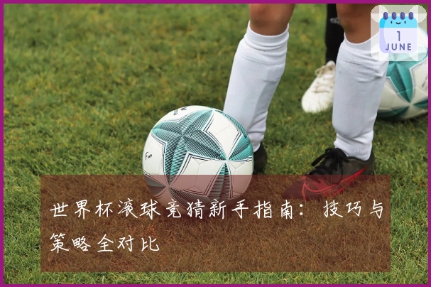 世界杯滚球竞猜新手指南：技巧与策略全对比