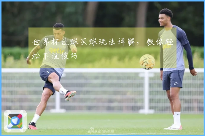 世界杯让球买球玩法详解，教你轻松下注技巧