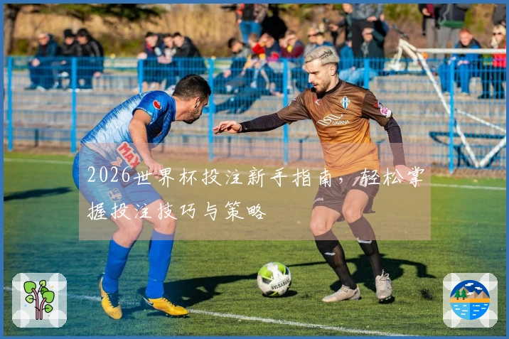 2026世界杯投注新手指南，轻松掌握投注技巧与策略