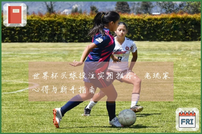 世界杯买球投注实用推荐：老玩家心得与新手指南