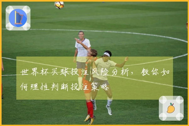 世界杯买球投注风险分析，教你如何理性判断投注策略