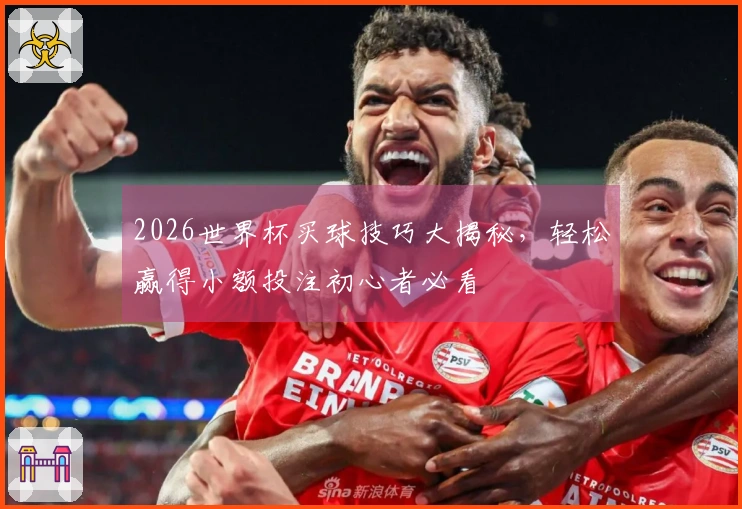 2026世界杯买球技巧大揭秘，轻松赢得小额投注初心者必看