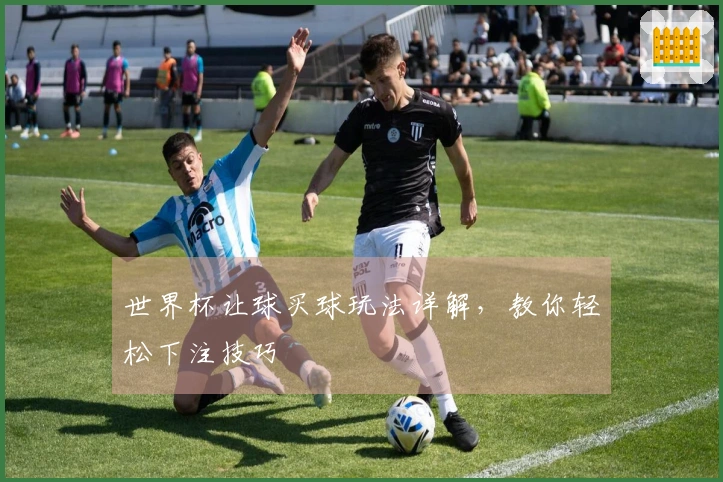 世界杯让球买球玩法详解，教你轻松下注技巧