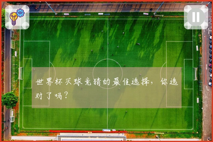 世界杯买球竞猜的最佳选择，你选对了吗？