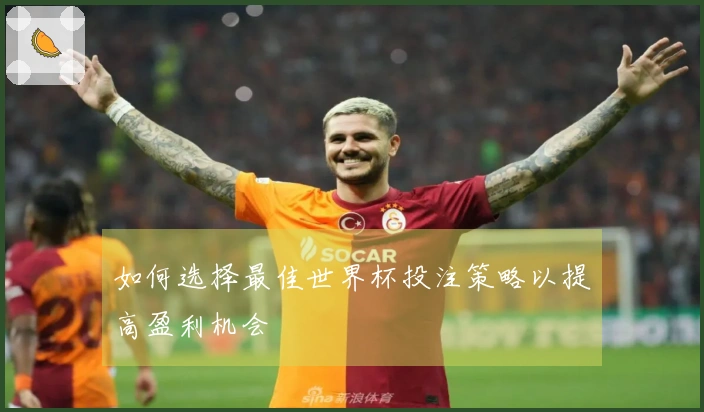 如何选择最佳世界杯投注策略以提高盈利机会