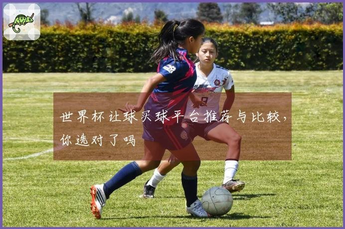 世界杯让球买球平台推荐与比较，你选对了吗